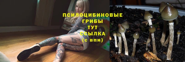 спиды Абдулино