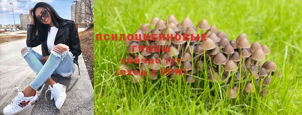 гидропоника Абаза