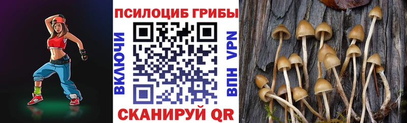 Галлюциногенные грибы GOLDEN TEACHER  Комсомольск-на-Амуре 